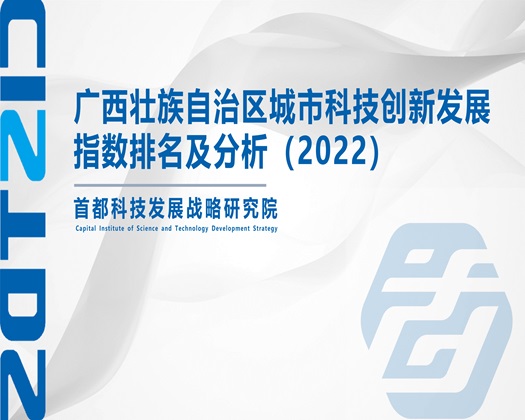 青海操逼网【成果发布】广西壮族自治区城市科技创新发展指数排名及分析（2022）